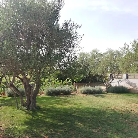 Zvone, Sukosan-brand New דירה *